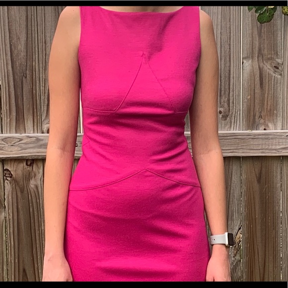 Diane Von Furstenberg, Fushia Sheath Dress, size 0 - Picture 6 of 15